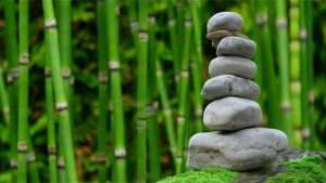 La posture enseignante