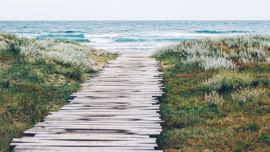 plan détaillé et raisonnement