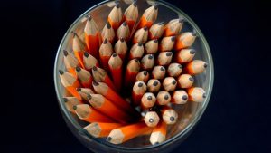 les compétences attendues