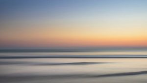 La mer des Sargasses