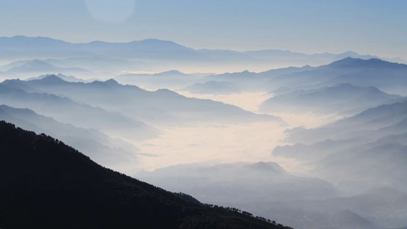 Construire le parcours professionnel