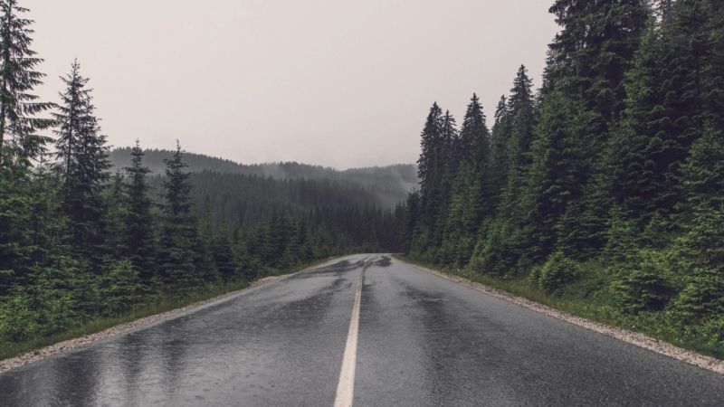 Le document de la leçon