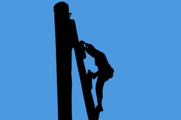 principe du parcours professionnel