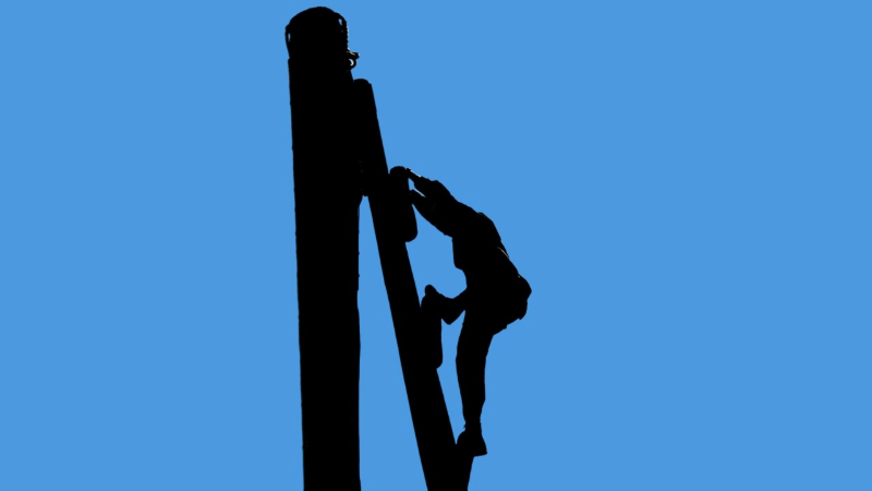 Principe du parcours professionnel