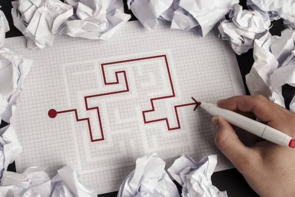 parcours professionnel