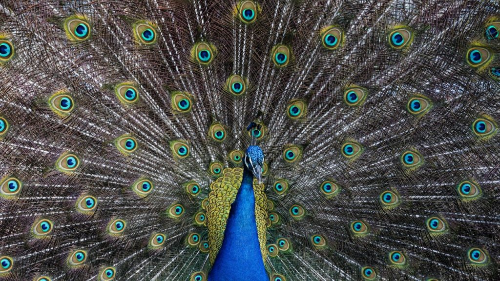 Oublier les bonnes résolutions