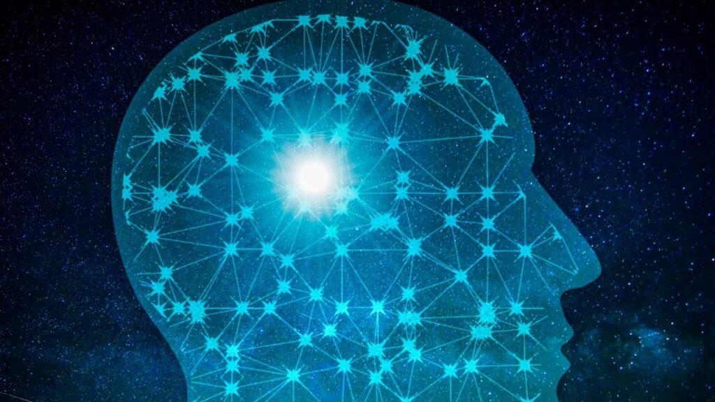 trois types d'intelligences