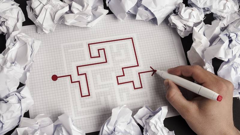 Le parcours professionnel