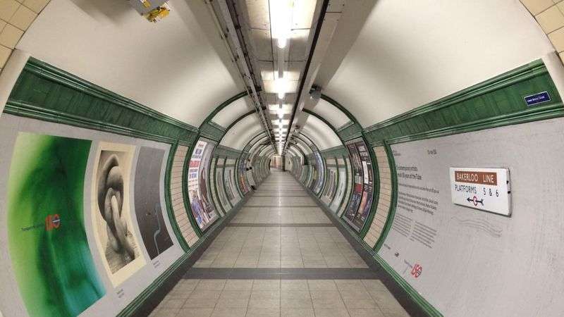 Démarches pédagogiques pour la séance