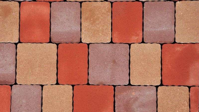 composantes de la séquence