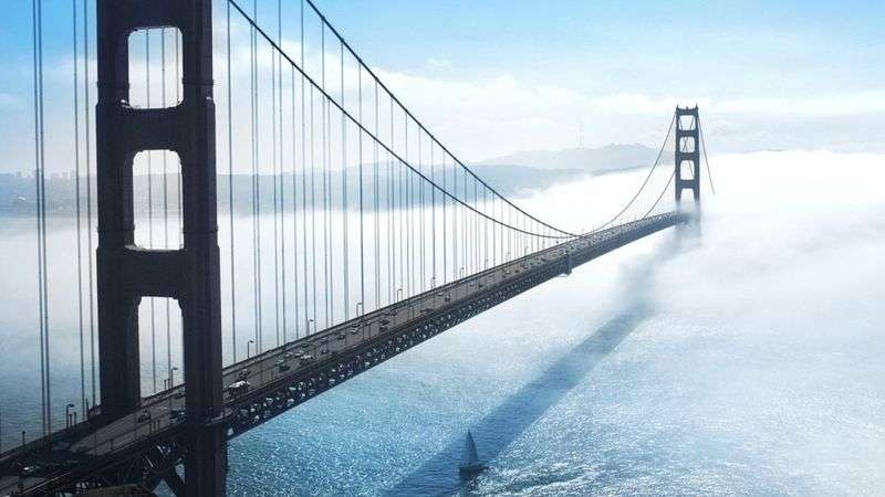 Transition et mutation